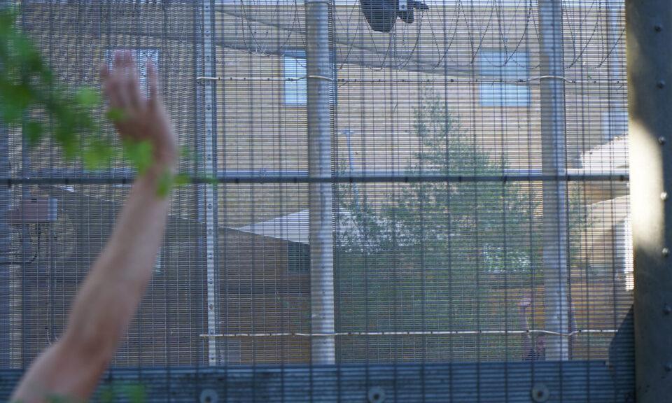 SOAS Detainee Support protests