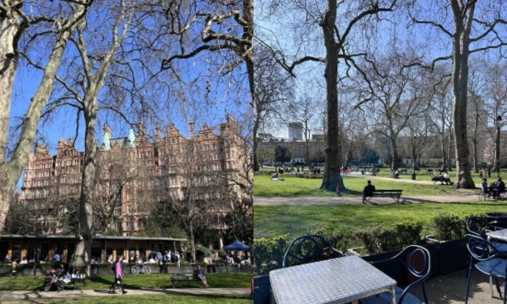 Caffe Tropea Russell Square