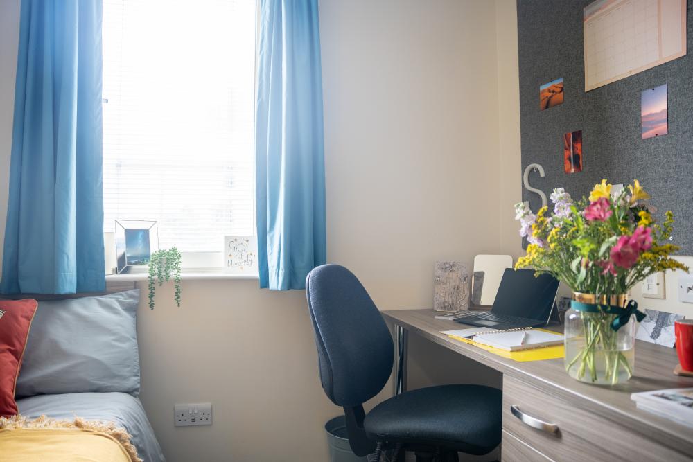 Dinwiddy House ensuite 2_1.jpg