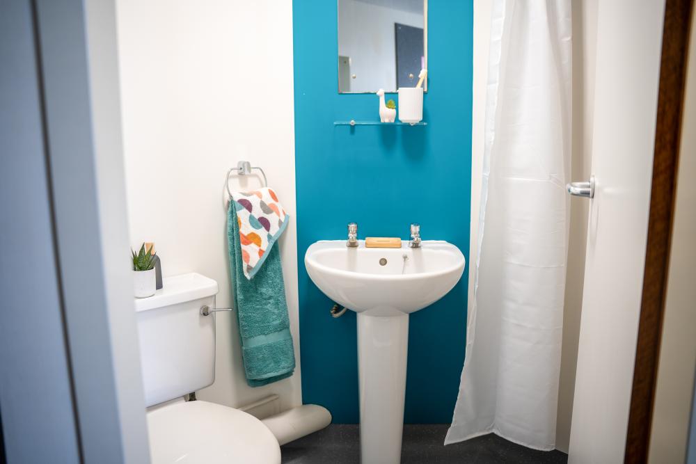 Dinwiddy House ensuite 4_1.jpg