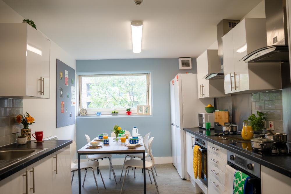 Paul Robeson shared kitchen 2.jpg