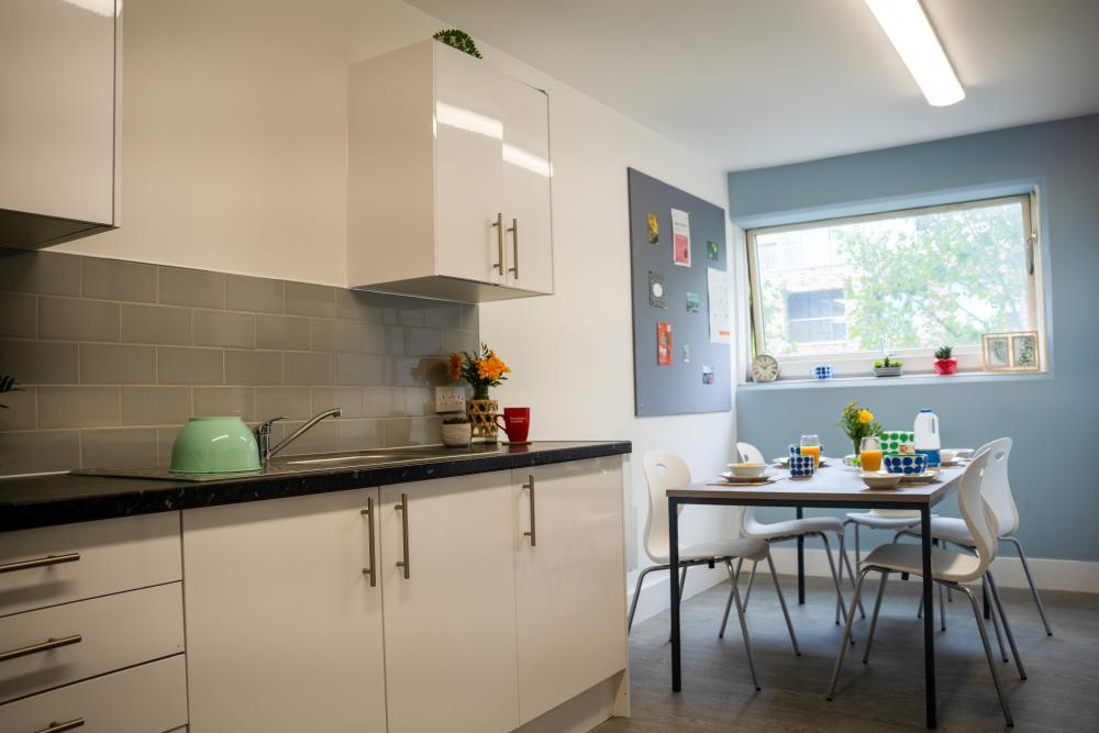 Paul Robeson shared kitchen 3.jpg