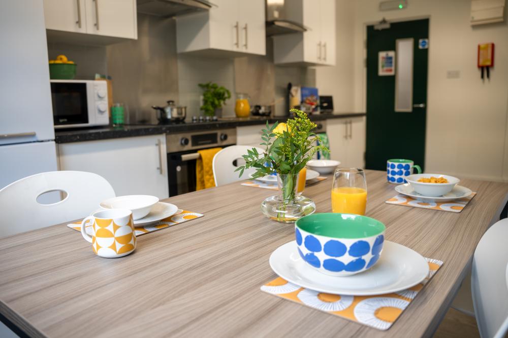 Paul Robeson shared kitchen 4.jpg