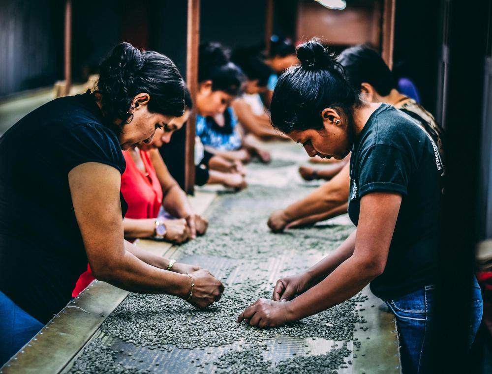 group of women picking beans on gray table