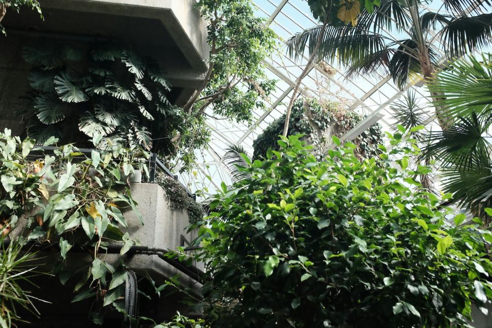 Barbican Conservatory