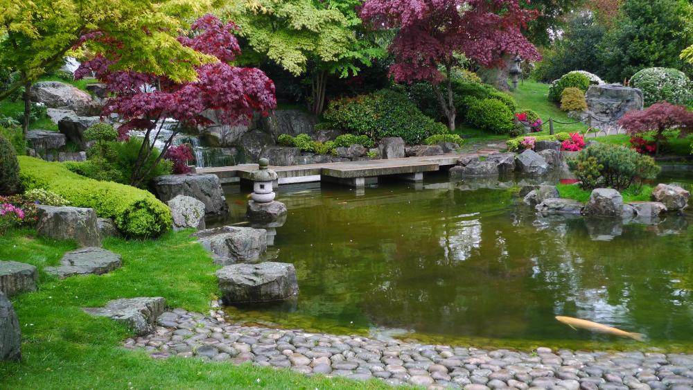 Kyoto Gardens, Holland Park