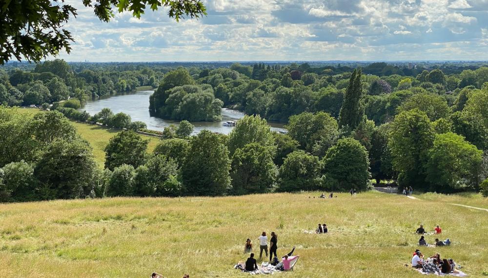 Richmond park skyline in London