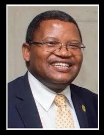 Photograph of Professor Simanga Kumalo