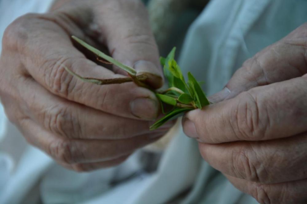 Close up of hands during a Mandaean water ritual via Nahrein Network