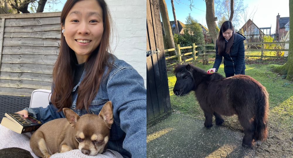 Two photos: a woman smiles to the camera while a sleeping puppy rests of her lap. A woman brushes a shetland pony.  