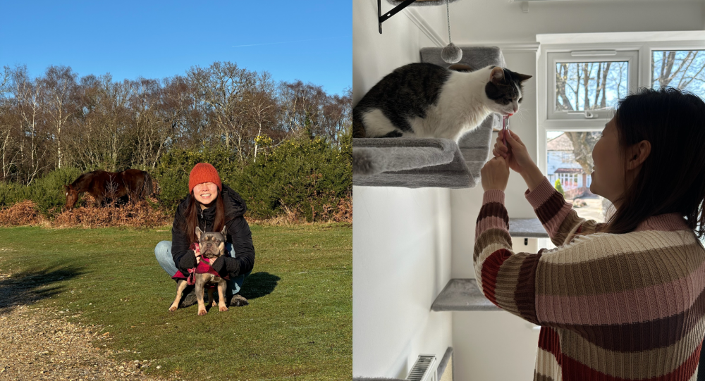 Two photos: A smiling woman poses with a French bulldog in a field. A woman reaches up to pet a cat. 