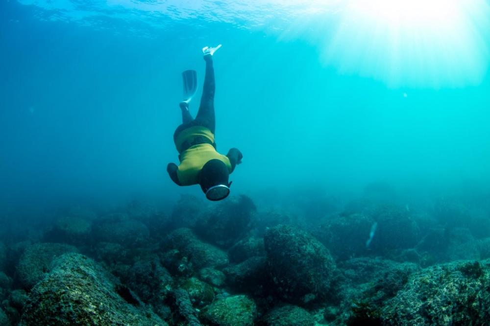 Haenyeo Voices: Merging Tradition and Science to Monitor Reef Changes - figure 3