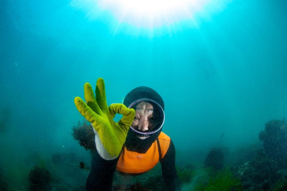 Haenyeo Voices: Merging Tradition and Science to Monitor Reef Changes - figure 1