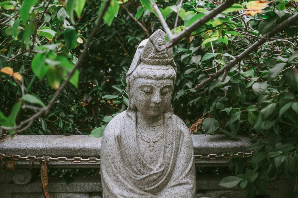 Buddha statue in greenery