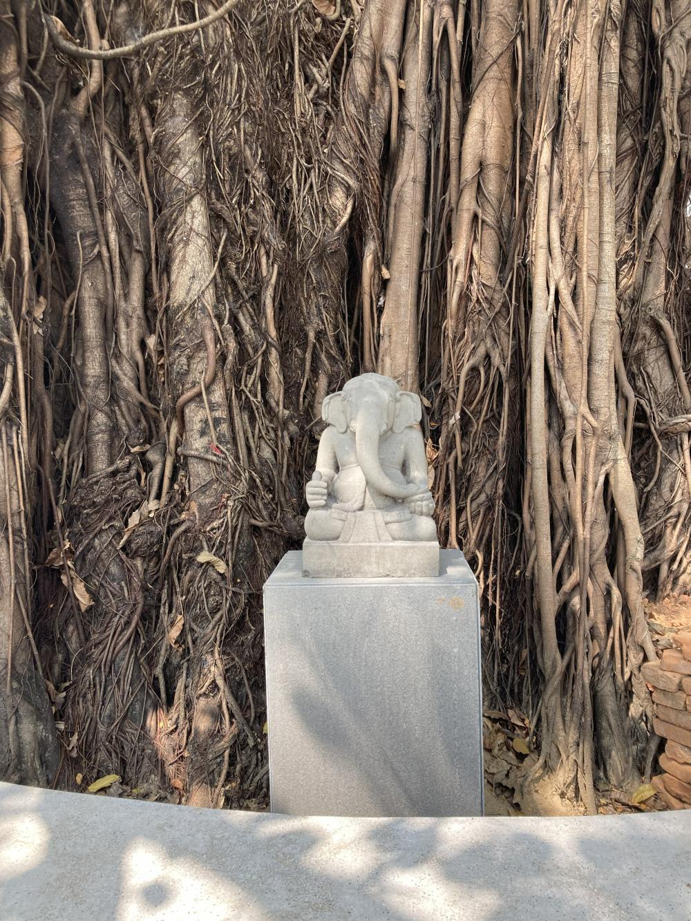 A replica Ganesha statue enshrined under the banyan tree on the grounds of the Da Nang Museum of Cham Sculpture. Courtesy of Mizuho Ikeda.