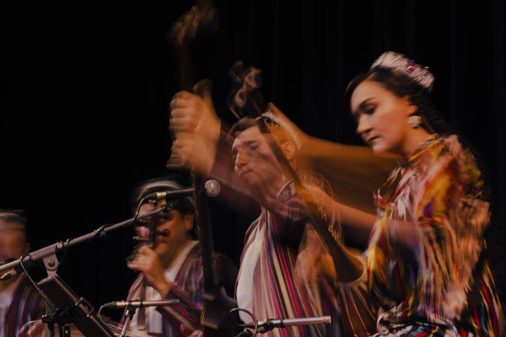 musicians playing various musical instruments