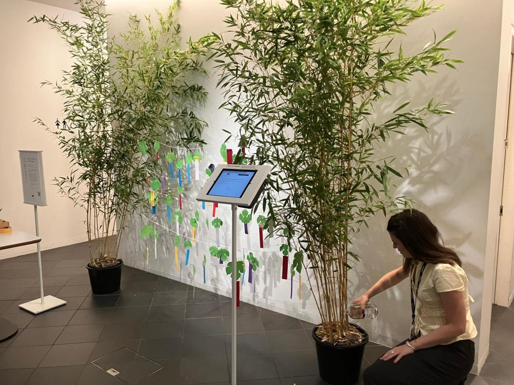 A woman in a museum gallery waters bamboo plants